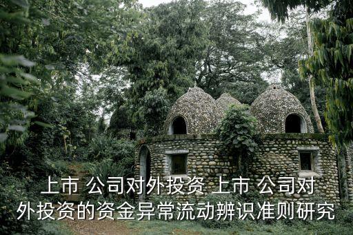  上市 公司對外投資 上市 公司對外投資的資金異常流動辨識準(zhǔn)則研究