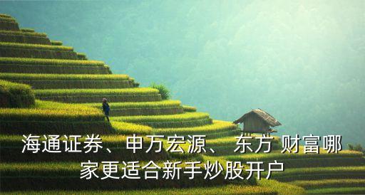 海通證券、申萬宏源、 東方 財富哪家更適合新手炒股開戶