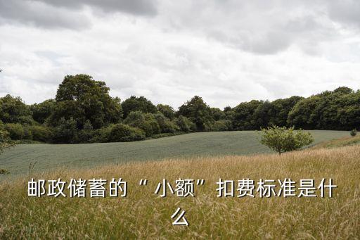  郵政儲(chǔ)蓄的“ 小額”扣費(fèi)標(biāo)準(zhǔn)是什么