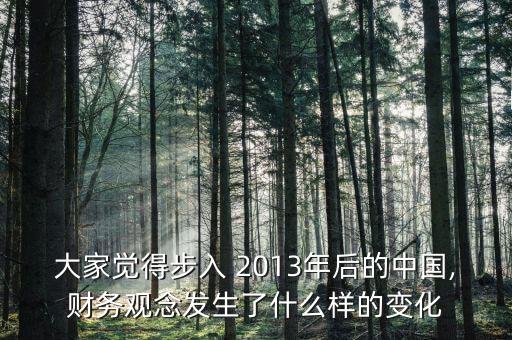 大家覺(jué)得步入 2013年后的中國(guó),財(cái)務(wù)觀念發(fā)生了什么樣的變化