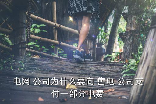 電網(wǎng) 公司為什么要向 售電 公司支付一部分電費