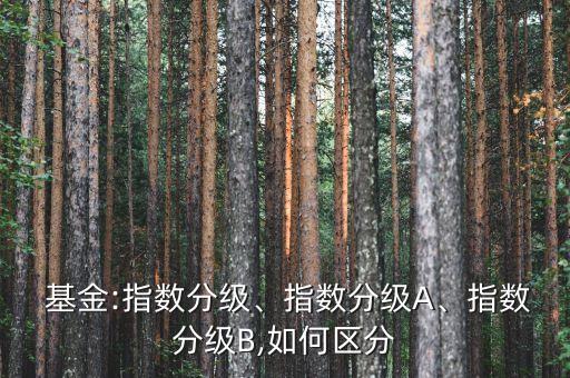 互聯(lián)網(wǎng)b的母基金代碼,招商互聯(lián)網(wǎng)基金