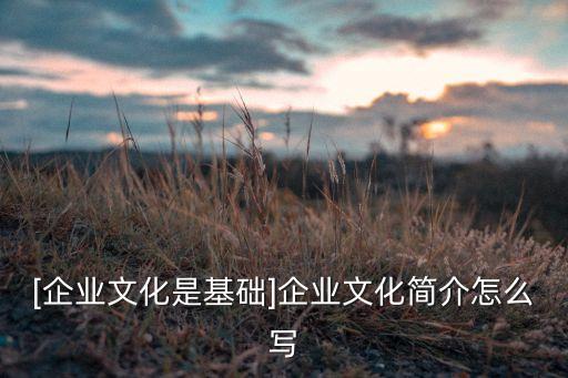 [企業(yè)文化是基礎(chǔ)]企業(yè)文化簡(jiǎn)介怎么寫(xiě)