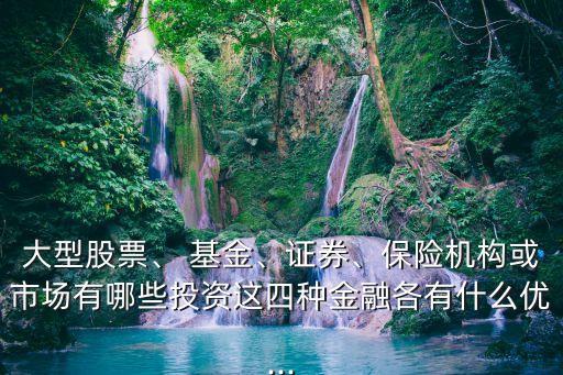 大型股票、 基金、證券、保險機構或市場有哪些投資這四種金融各有什么優(yōu)...