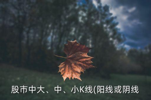 股市中大、中、小K線(陽(yáng)線或陰線