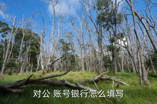 財務公司成員單位賬號,建行轉賬財務公司成員單位賬號是什么