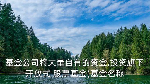 長(zhǎng)信量化先鋒股票怎么樣,信澳量化先鋒混合是什么股票