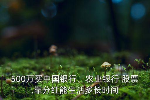 500萬買中國銀行、農(nóng)業(yè)銀行 股票,靠分紅能生活多長時間