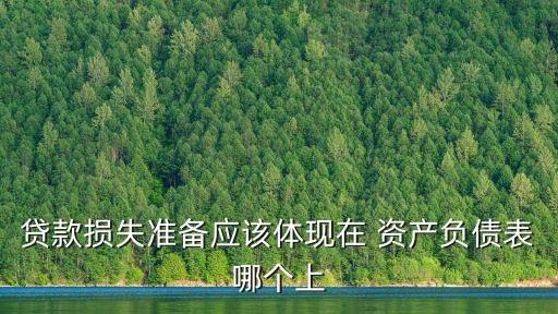 貸款損失準備應該體現(xiàn)在 資產(chǎn)負債表哪個上