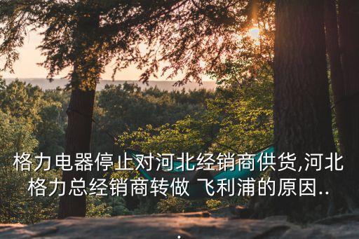 格力電器停止對(duì)河北經(jīng)銷(xiāo)商供貨,河北格力總經(jīng)銷(xiāo)商轉(zhuǎn)做 飛利浦的原因...