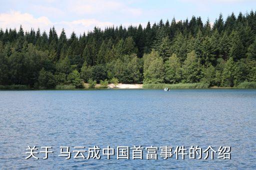 關(guān)于 馬云成中國(guó)首富事件的介紹