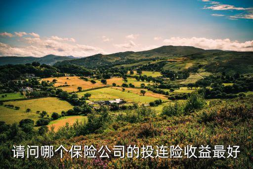 請問哪個保險(xiǎn)公司的投連險(xiǎn)收益最好