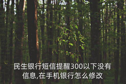民生銀行賬戶(hù)信息即時(shí)通