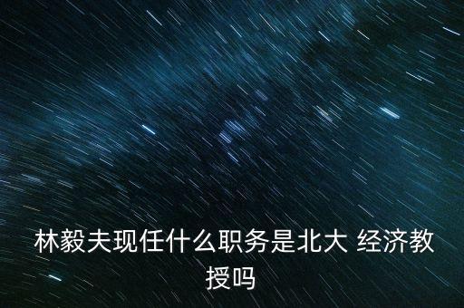 中國經濟專題林毅夫