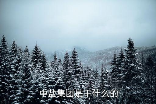  中鹽集團是干什么的