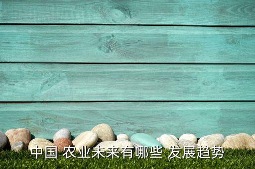中國農業(yè)產業(yè)發(fā)展