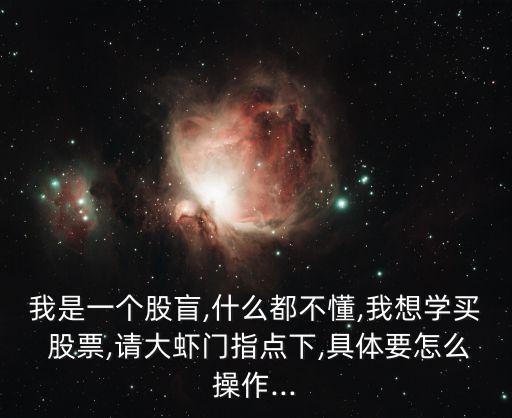 我是一個(gè)股盲,什么都不懂,我想學(xué)買 股票,請大蝦門指點(diǎn)下,具體要怎么操作...