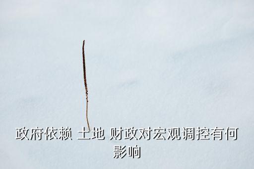 政府依賴 土地 財政對宏觀調(diào)控有何影響