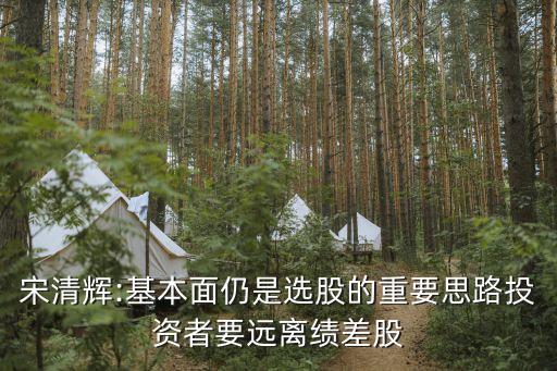 宋清輝:基本面仍是選股的重要思路投資者要遠離績差股