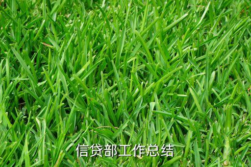 信貸部工作總結