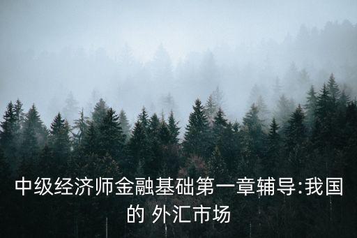 中級經(jīng)濟(jì)師金融基礎(chǔ)第一章輔導(dǎo):我國的 外匯市場