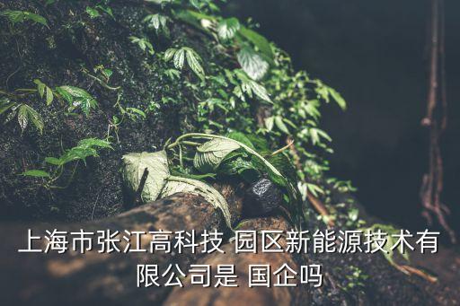 大變局下的上海園區(qū)開發(fā)類國(guó)企的危與機(jī)