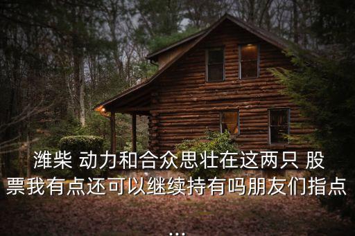  濰柴 動力和合眾思壯在這兩只 股票我有點還可以繼續(xù)持有嗎朋友們指點...