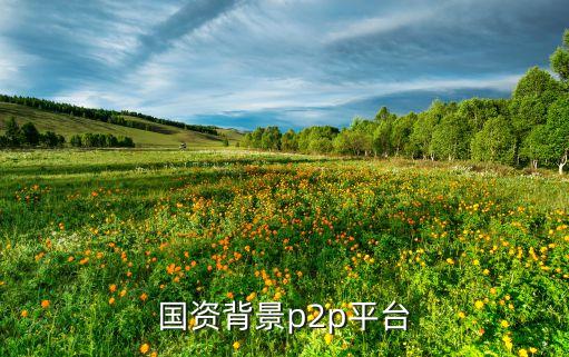 國資背景p2p平臺(tái)