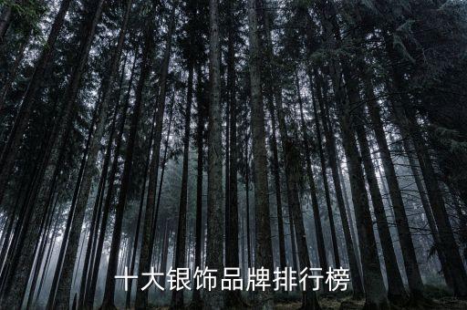 中國白銀集團銀條產品,英皇白銀集團銀條怎么樣