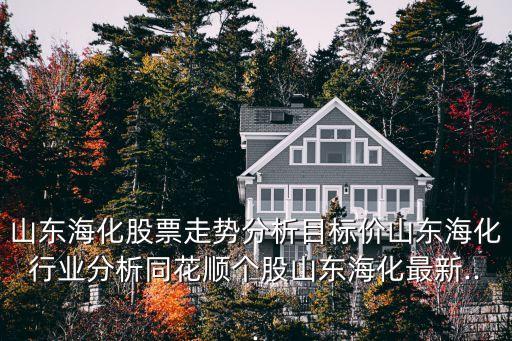山東海化股票走勢(shì)分析目標(biāo)價(jià)山東?；袠I(yè)分析同花順個(gè)股山東?；钚?..