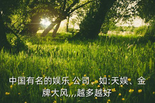 中國有名的娛樂 公司、如:天娛、金牌大風,,,越多越好