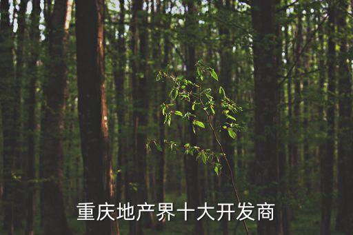 重慶地產(chǎn)界十大開發(fā)商