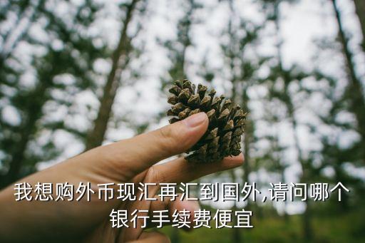 交通銀行國際轉賬費用