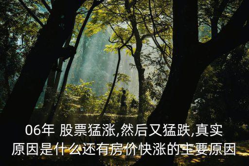 06年 股票猛漲,然后又猛跌,真實(shí)原因是什么還有房價(jià)快漲的主要原因