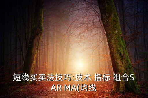 短線(xiàn)買(mǎi)賣(mài)法技巧:技術(shù) 指標(biāo) 組合SAR MA(均線(xiàn)