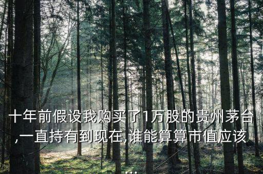 十年前假設(shè)我購(gòu)買了1萬(wàn)股的貴州茅臺(tái),一直持有到現(xiàn)在,誰(shuí)能算算市值應(yīng)該...