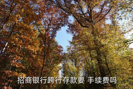  招商銀行跨行存款要 手續(xù)費(fèi)嗎