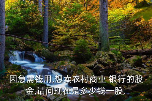 因急需錢用,想賣農村商業(yè) 銀行的股金,請問現(xiàn)在是多少錢一股,