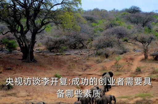 央視訪談李開復:成功的創(chuàng)業(yè)者需要具備哪些素質(zhì)