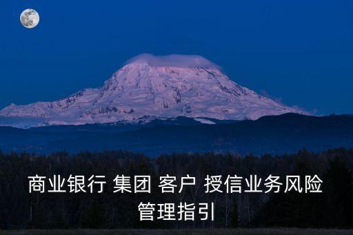 商業(yè)銀行 集團 客戶 授信業(yè)務(wù)風(fēng)險管理指引