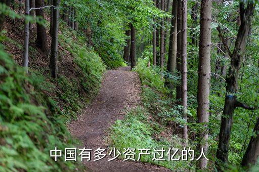 中國有多少資產過億的人