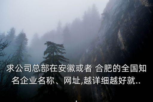 求公司總部在安徽或者 合肥的全國知名企業(yè)名稱、網(wǎng)址,越詳細(xì)越好就...