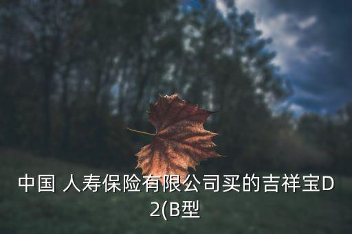 中國 人壽保險(xiǎn)有限公司買的吉祥寶D2(B型