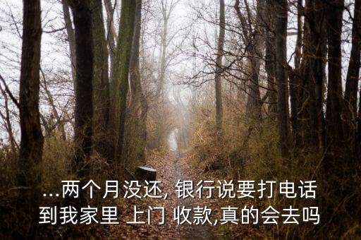 ...兩個(gè)月沒還, 銀行說要打電話到我家里 上門 收款,真的會去嗎