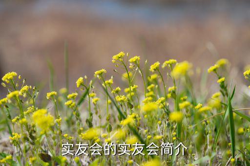 實(shí)友會(huì)的實(shí)友會(huì)簡介