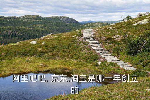 阿里吧吧, 京東,淘寶是哪一年創(chuàng)立的