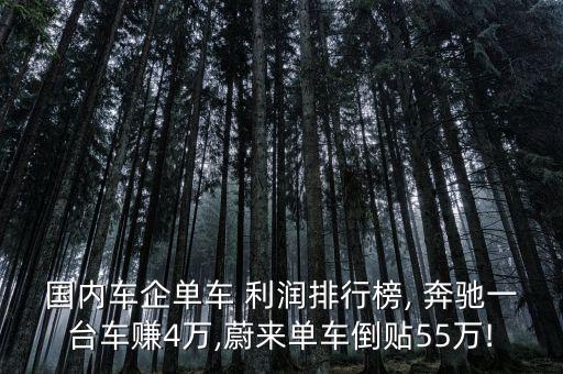 國(guó)內(nèi)車企單車 利潤(rùn)排行榜, 奔馳一臺(tái)車賺4萬(wàn),蔚來(lái)單車倒貼55萬(wàn)!