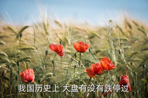 我國(guó)歷史上 大盤有沒有跌停過(guò)