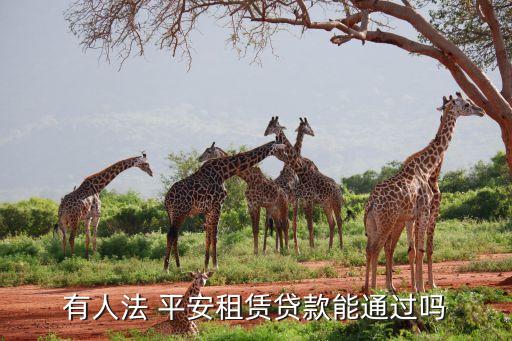 有人法 平安租賃貸款能通過(guò)嗎