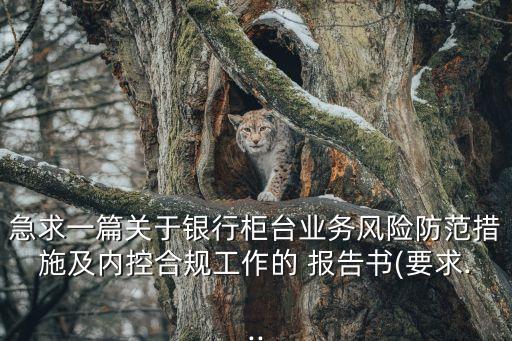 急求一篇關(guān)于銀行柜臺業(yè)務(wù)風(fēng)險防范措施及內(nèi)控合規(guī)工作的 報告書(要求...